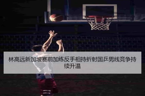 林高远新加坡赛前加练反手相持折射国乒男线竞争持续升温